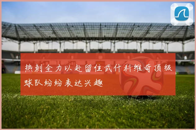 热刺全力以赴留住武什科维奇顶级球队纷纷表达兴趣