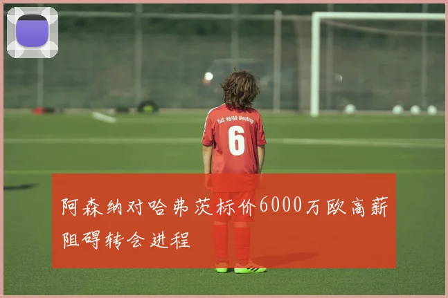 阿森纳对哈弗茨标价6000万欧高薪阻碍转会进程